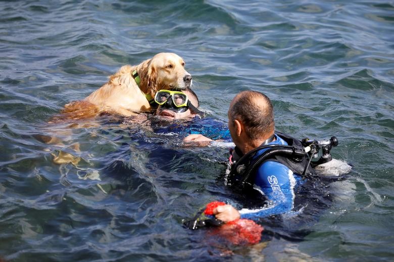 Saeed Darawsheh, a 29-year old paraplegic diver, swims with his dog in the Mediterranean Sea after diving and cleaning up the sea's plastic pollution, off the coast of Caesarea, Israel. REUTERS/Nir Elias  